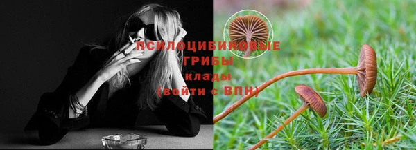 винт Арсеньев