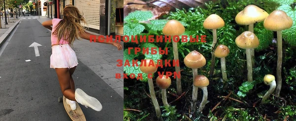 стафф Баксан