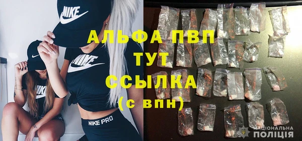 винт Арсеньев